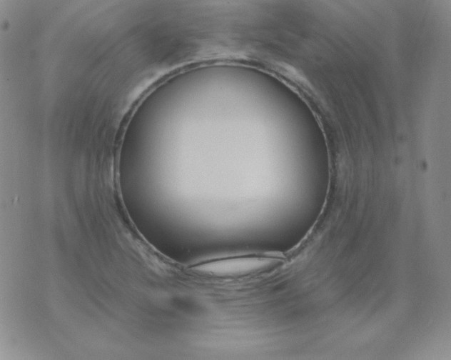 X0000071971220200607282050