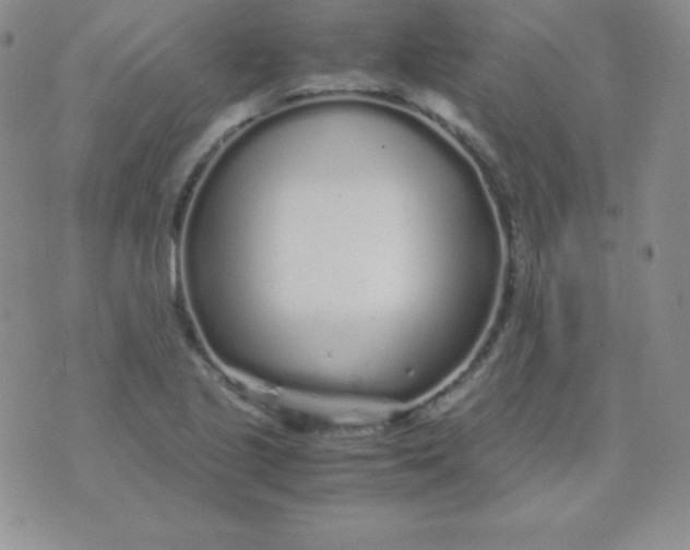 X0000071971221200607282050