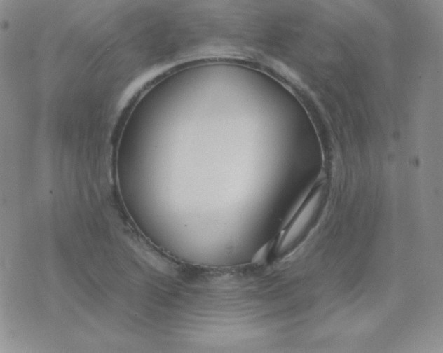 X0000071971222200607282050