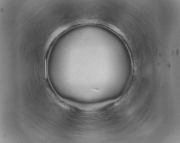 X0000071971223200607282050