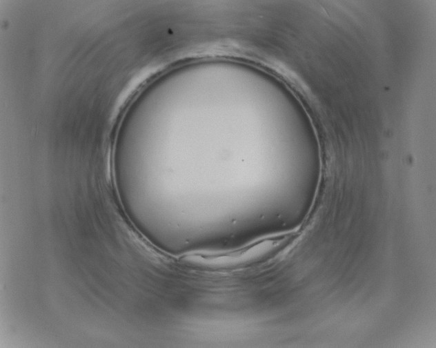 X0000071971224200607282050