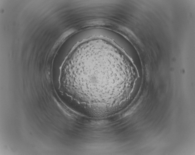 X0000071971225200607282050