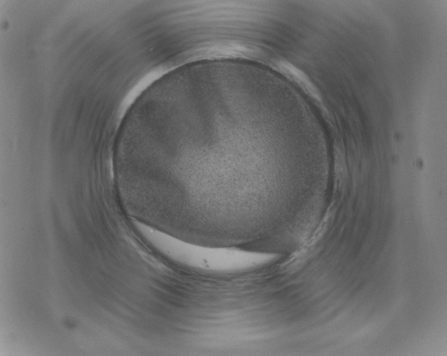 X0000071971226200607282050