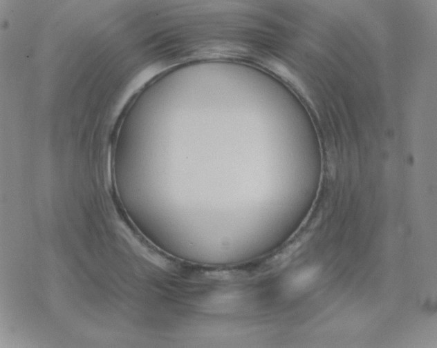 X0000071971227200607282050