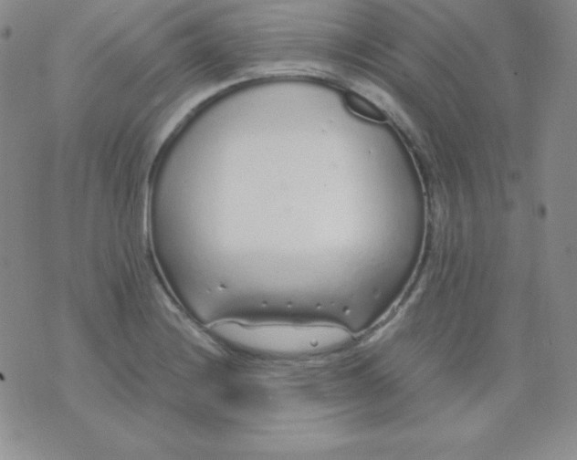 X0000071971228200607282050