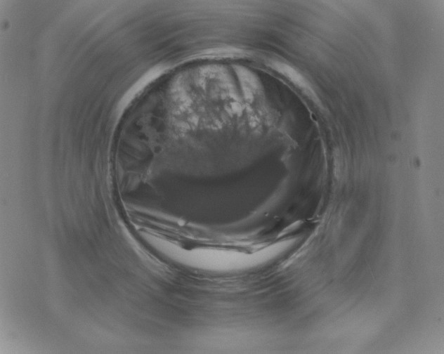 X0000071971229200607282050