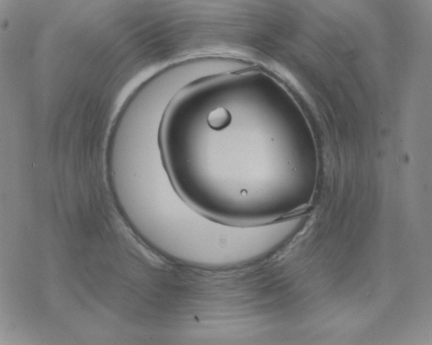 X0000071971230200607282050