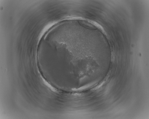 X0000071971231200607282050