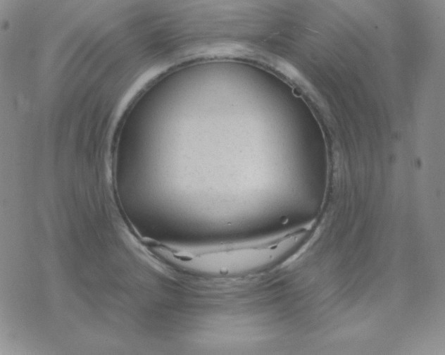 X0000071971232200607282050