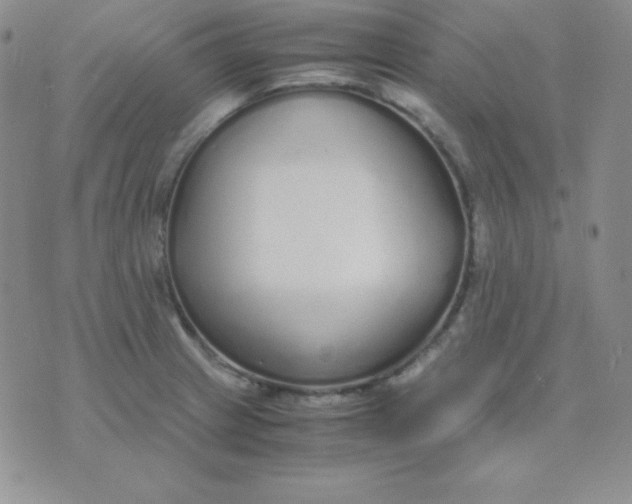 X0000071971233200607282050