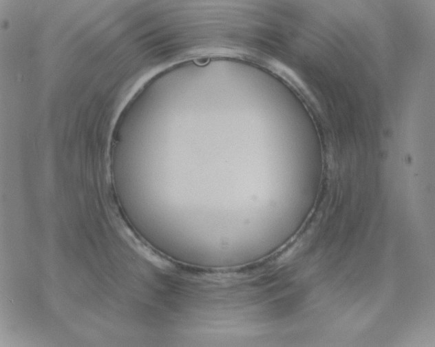 X0000071971236200607282050