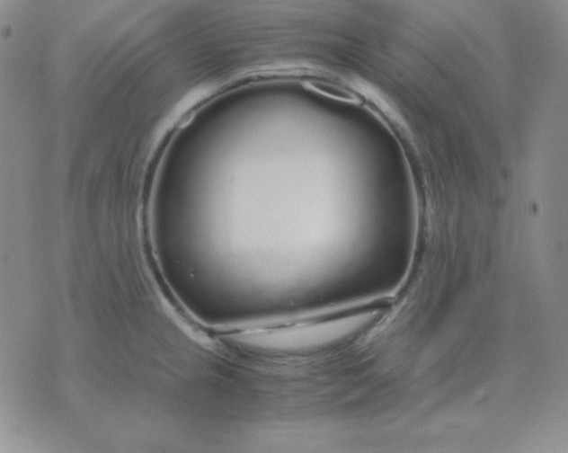 X0000071971237200607282050