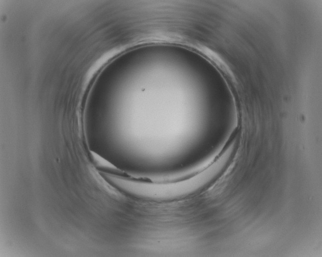 X0000071971238200607282050