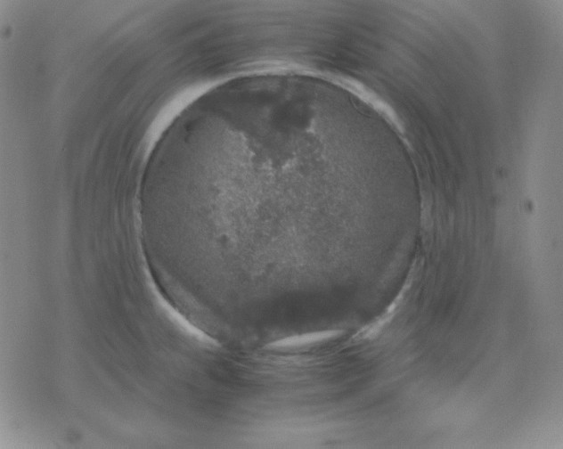 X0000071971239200607282050