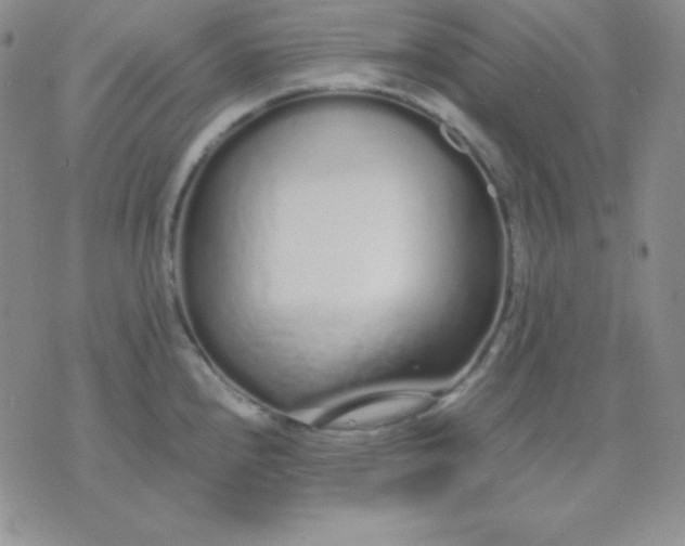 X0000071971240200607282050