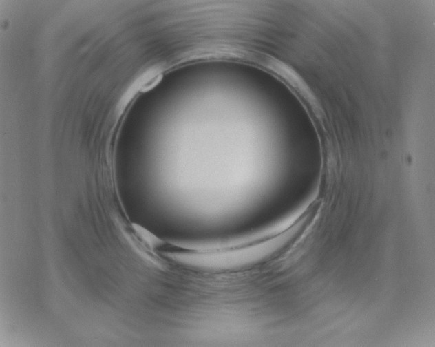 X0000071971242200607282050