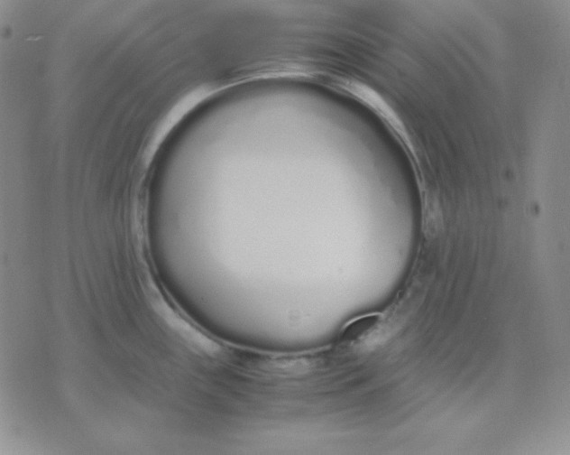 X0000071971243200607282050