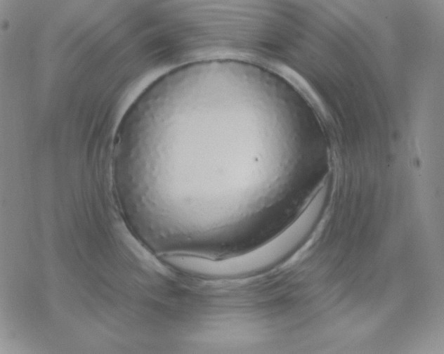 X0000071971244200607282050