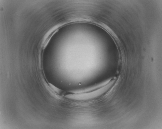 X0000071971246200607282050