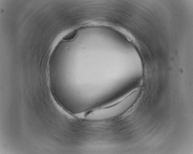 X0000071971247200607282050