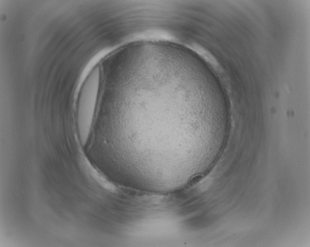 X0000071971248200607282050