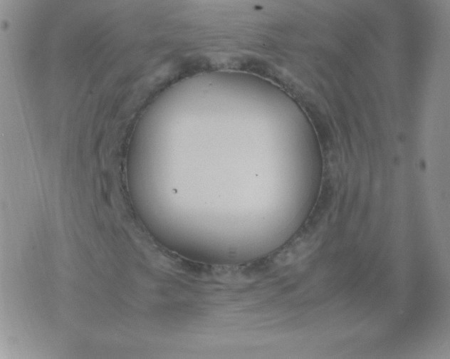 X0000071971249200607282049