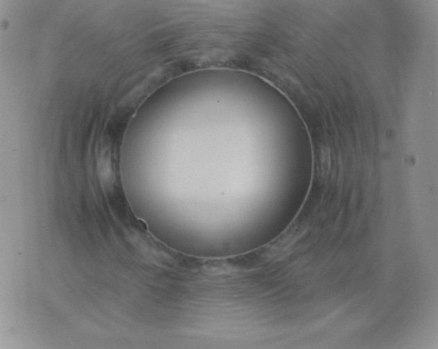 X0000071971250200607282049