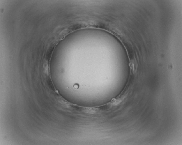 X0000071971251200607282049