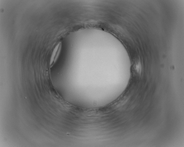 X0000071971252200607282049