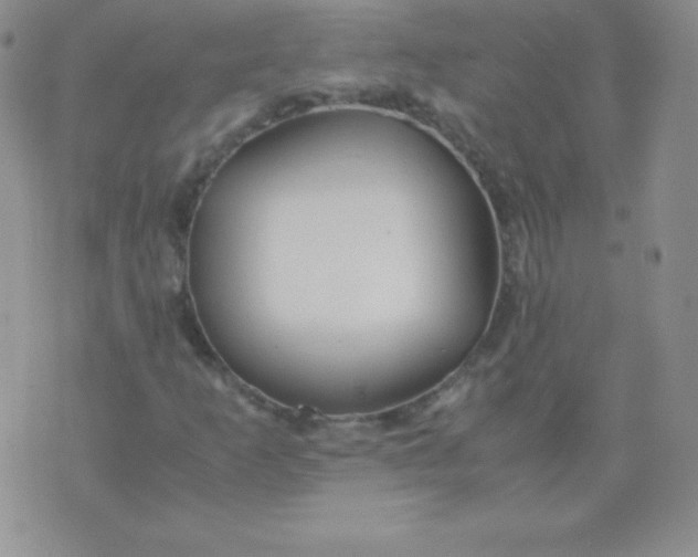 X0000071971253200607282049