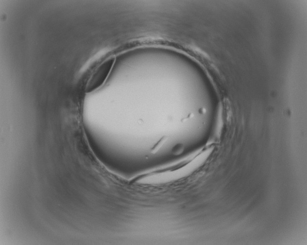 X0000071971255200607282049