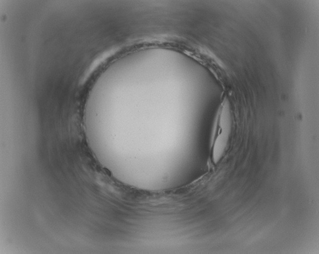 X0000071971256200607282049