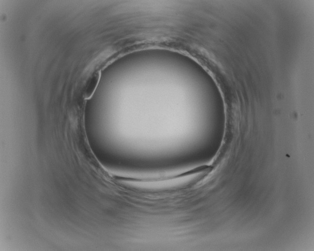 X0000071971257200607282049