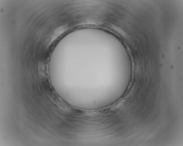 X0000071971258200607282049