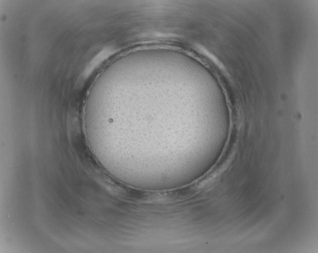 X0000071971259200607282049