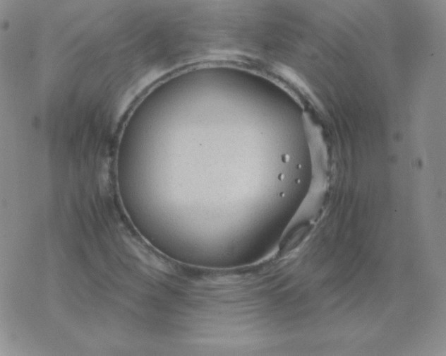 X0000071971260200607282049