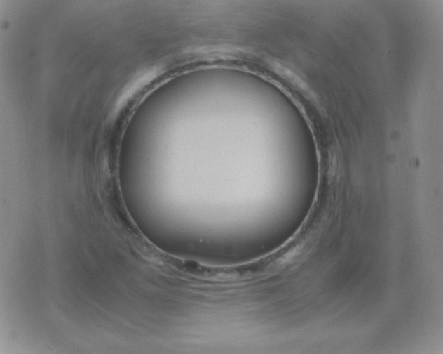 X0000071971261200607282049