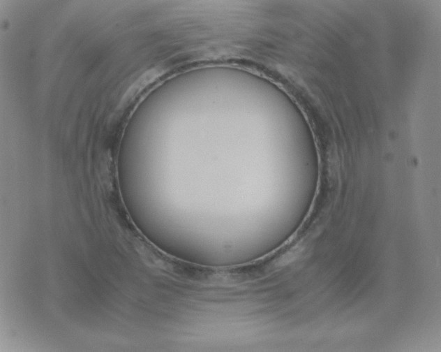 X0000071971265200607282049