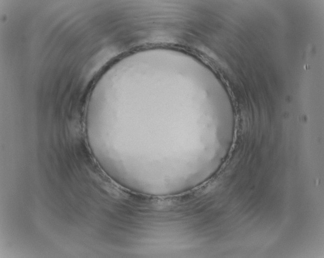 X0000071971266200607282049