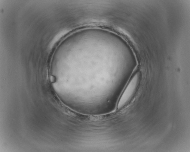 X0000071971267200607282049