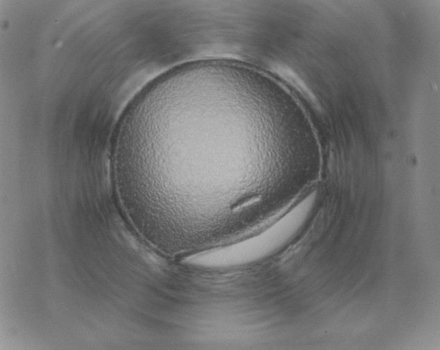 X0000071971268200607282049