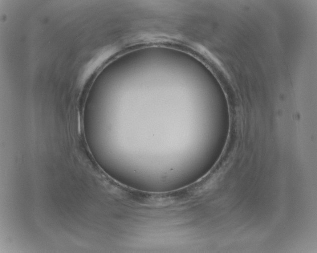 X0000071971269200607282049