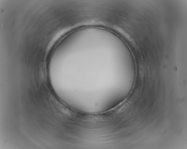 X0000071971270200607282049