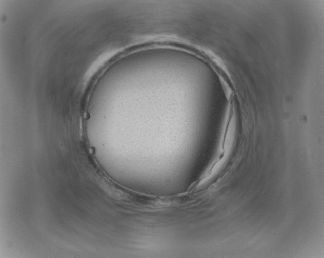 X0000071971271200607282049