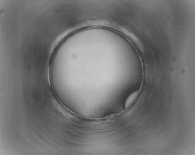 X0000071971272200607282049