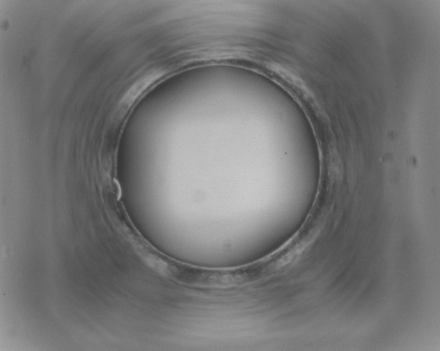 X0000071971273200607282049