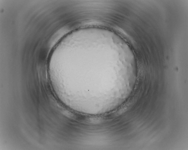 X0000071971274200607282049