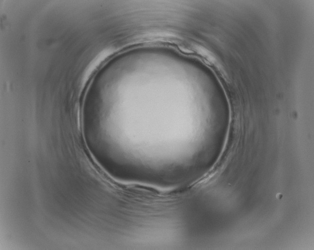 X0000071971275200607282049