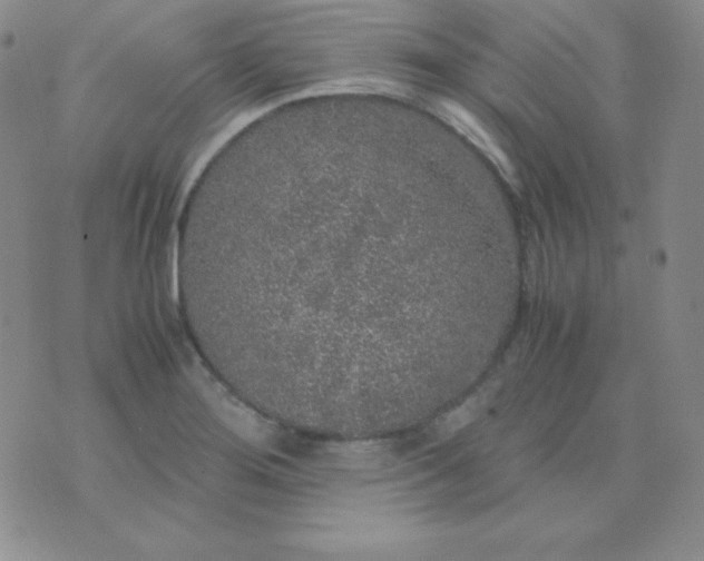 X0000071971276200607282049