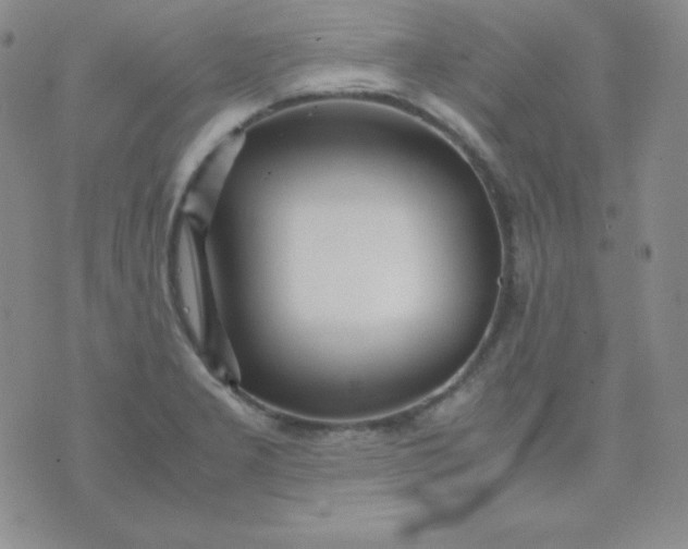 X0000071971277200607282049